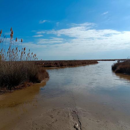 Rincon Del Delta, Apartamento En El Delta Del Ebro, Playa Trabucador Amposta, Tarragona L'Eucaliptus المظهر الخارجي الصورة