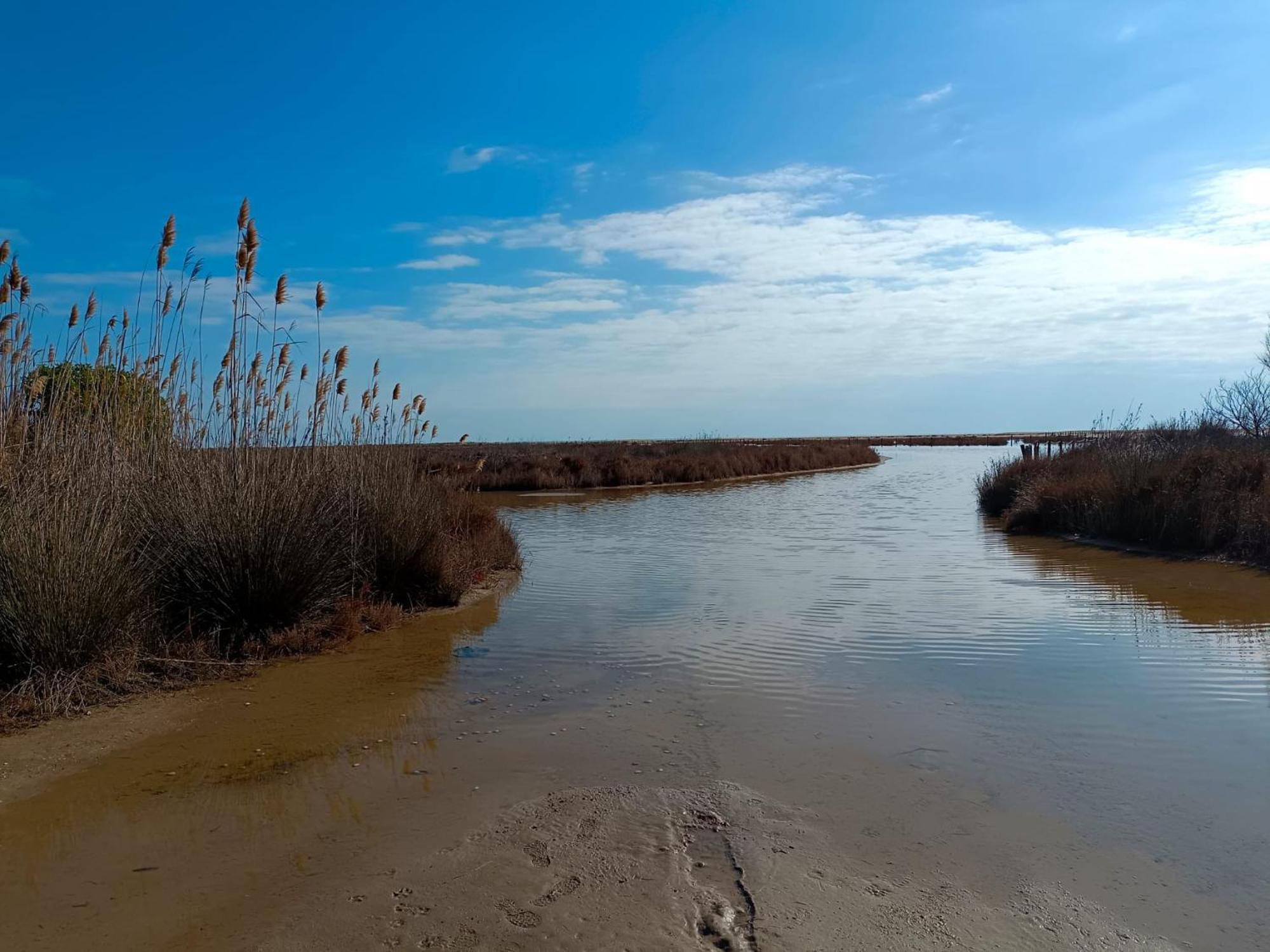 Rincon Del Delta, Apartamento En El Delta Del Ebro, Playa Trabucador Amposta, Tarragona L'Eucaliptus المظهر الخارجي الصورة