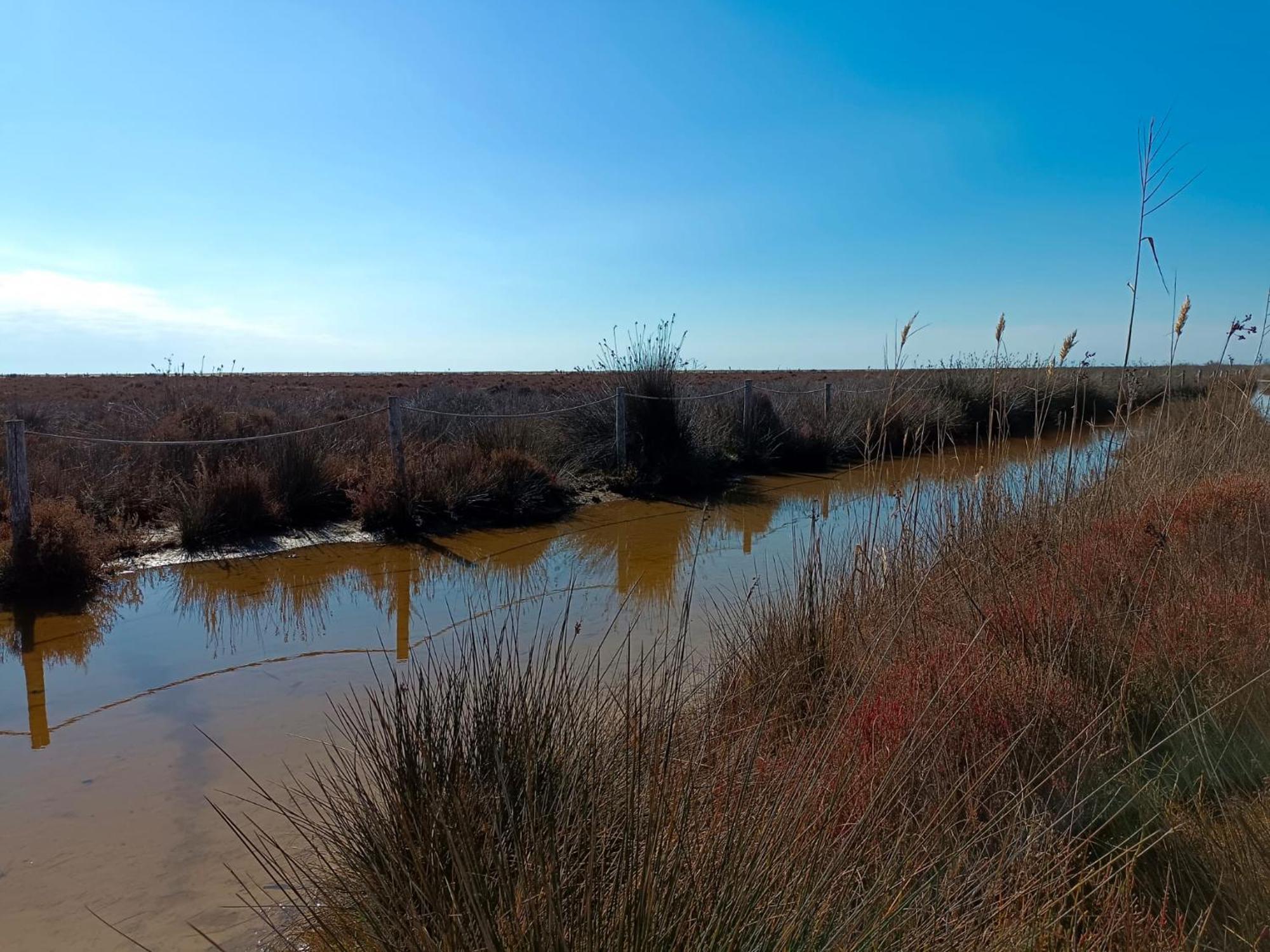 Rincon Del Delta, Apartamento En El Delta Del Ebro, Playa Trabucador Amposta, Tarragona L'Eucaliptus المظهر الخارجي الصورة